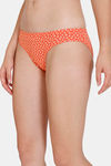 Zivame Anti-Microbial Low Rise Full Coverage Bikini Panty (Pack of 3) - Multicolor — thumbnail 15